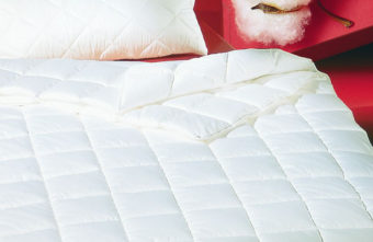 Allergiker Baumwolle 4-Jahreszeiten Bettdecke Morpheus Cotton von Brinkhaus